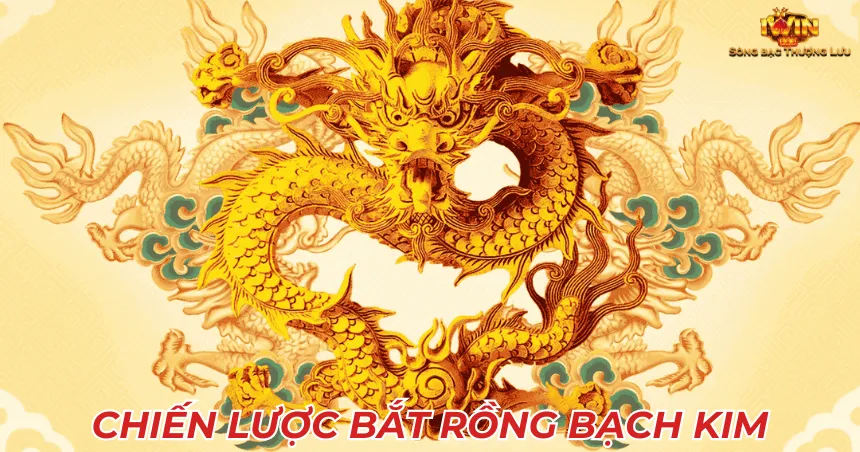 Chiến lược bắt Rồng bạch kim